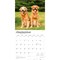 Golden Retrievers | 2026 12 x 24 Inch (Hanging) Monthly Square Wall Calendar | Foil Stamped Cover | Plastic-Free | BrownTrout | Animals Dog Breeds Retriever